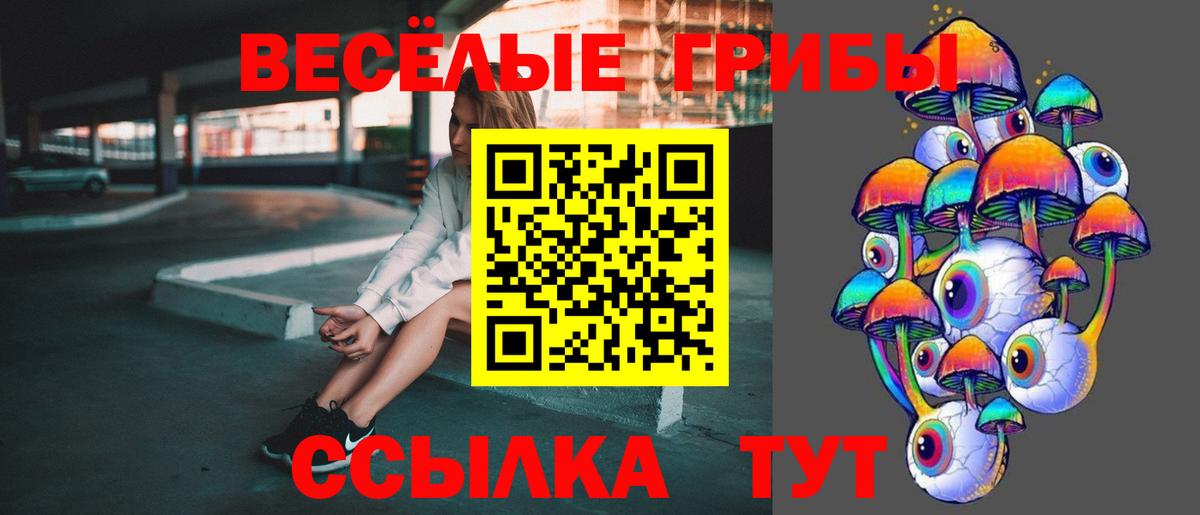 Кировск  Псилоцибиновые грибы Cubensis  Вход с VPN 